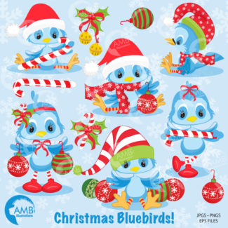 Christmas Clipart, Bluebird Clipart, Christmas Birds Clipart, commercial License, instant download, AMB-192