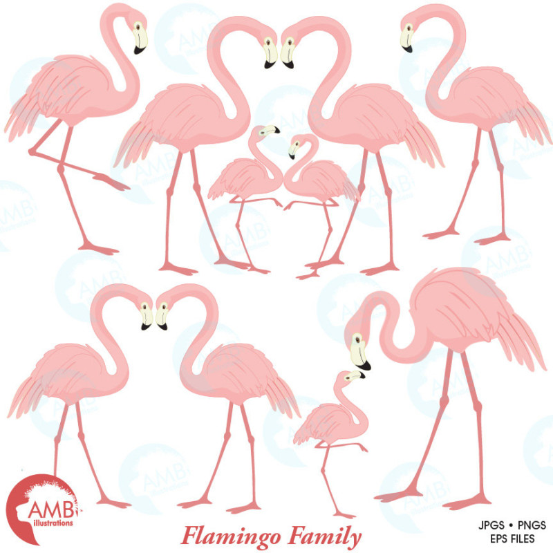 baby flamingo clipart