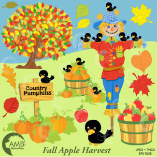 Harvest clipart, Thanksgiving clipart, Fall clip art, Autumn clipart, Scarecrow clipart, Apples and Pumpkins, Commercial,  AMB-147