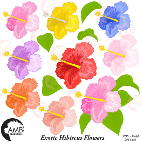 Hibiscus clipart, Flower Embellishments, Wedding clipart, shabby chic, Blossoms, Tropical Flowers clipart, commercial use, AMB-1042