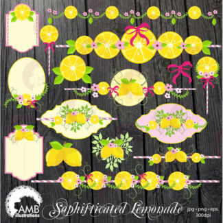 Lemon clipart, Lemon Embellishment clipartS, Floral clipart, Lemonade Party Clipart, Frames Clipart, Commercial Use, AMB-891