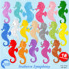 Seahorse Clipart, Colorful Seahorses, Ocean Creatures Clipart, Sea Horse Clip Art, Commercial Use, AMB-436
