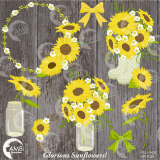 Sunflower clipart, Wedding clipart, shabby chic, sunflowers, country wedding, country party, mason jar, sunflower clipart, AMB-1416
