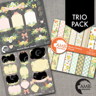 TRIO Floral Clipart and Digital Paper Pack, Floral Wedding Frames, Shabby Chic Flowers, Country Wedding, Bridal Shower, AMB-1666