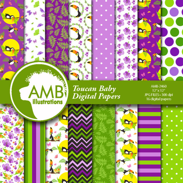 AMB 2460 BABY TOUCAN PAPERS PREVIEW 1