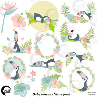 Tropical Baby Toucans