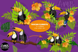Tropical Toucan Summer