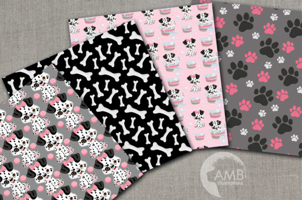 Dalmatian Puppy dog papers