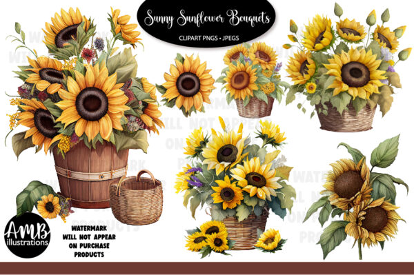 Sunflower Watercolors Clipart