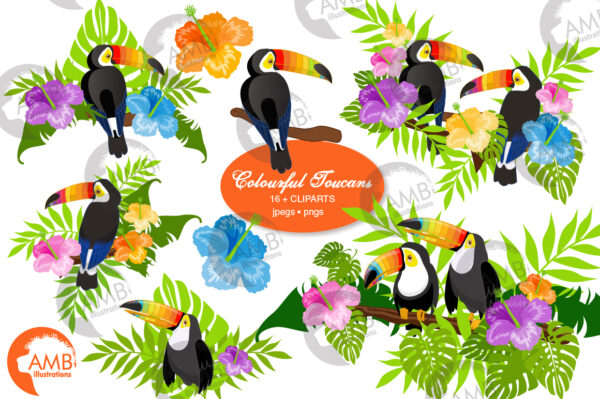 Rainbow Beak Toucan Clipart