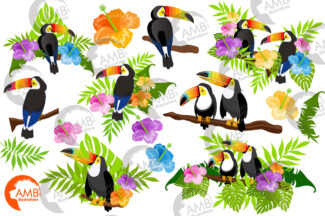 Rainbow Beak Toucan Clipart