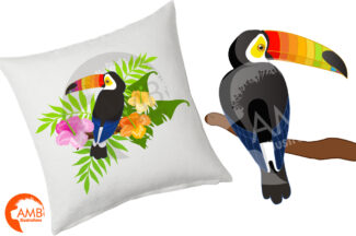 Rainbow Beak Toucan Clipart