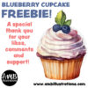 Blueberry cupcake freebie!